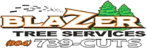 Blazer Tree Service Richmond VA